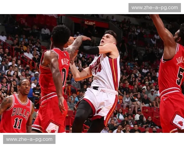 宿命对决:2012公牛vs热火,一场未完待续的史诗